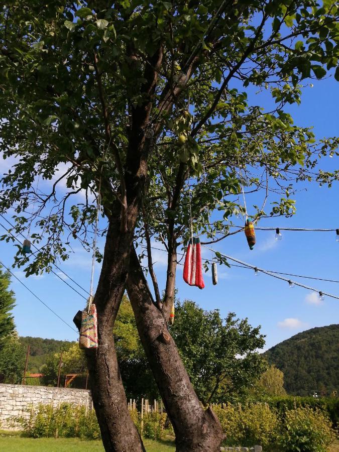 Aracsi Vendeghaz Hotell Balatonfüred Eksteriør bilde